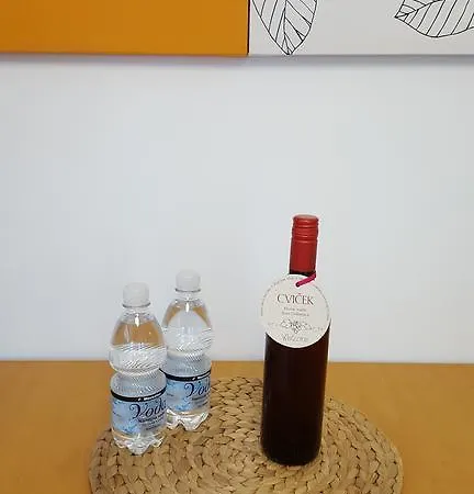 Apartmán Atrium Flat In The Lublaň