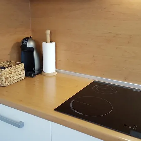 Atrium Flat In The * Lublaň