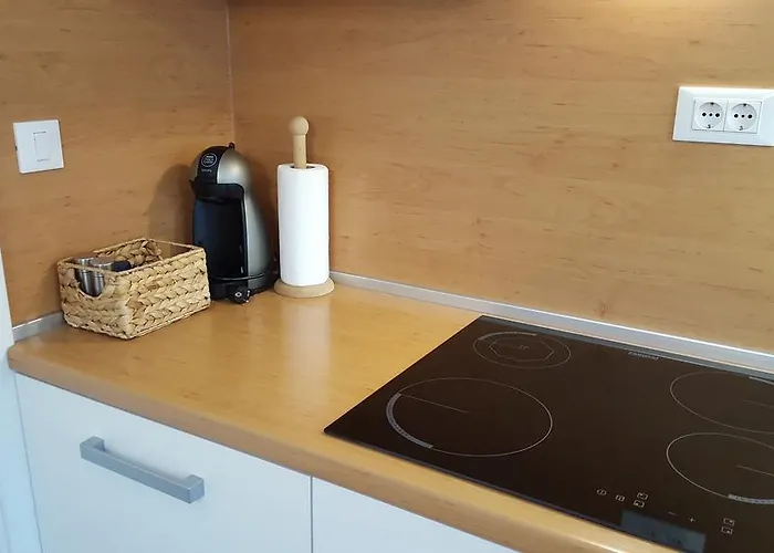 Atrium Flat In The * Lublaň