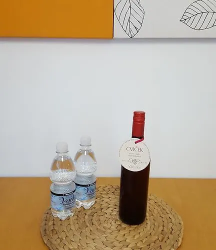 아파트 Atrium Flat In The 류블랴나